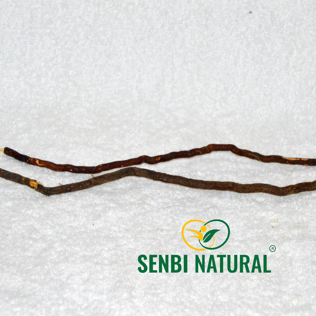 Senbi Natural herb sourcing photo