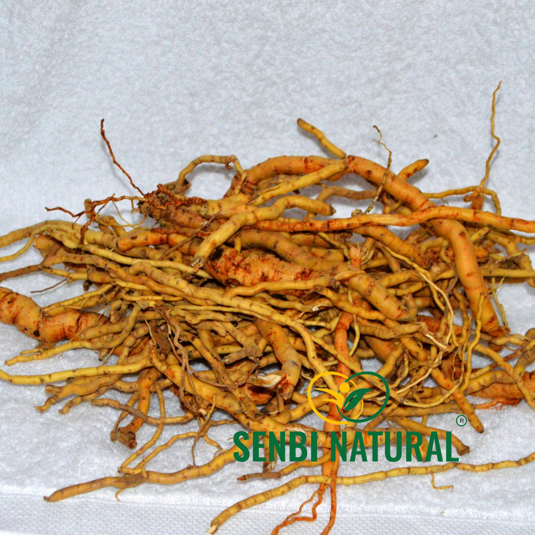 Senbi Natural herb sourcing photo