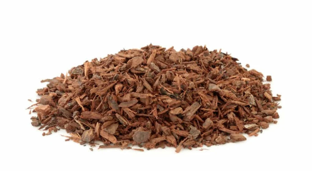 Pygeum Bark