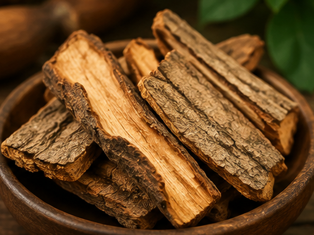 Pygeum Bark botanical